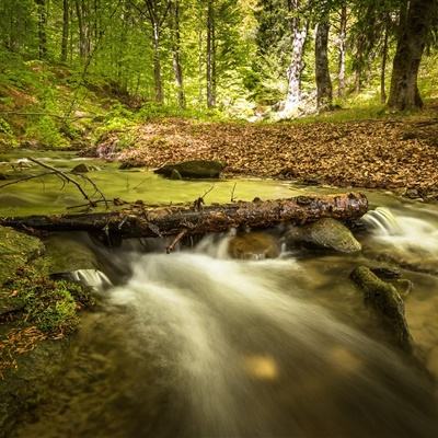 天成彩票手机app下载